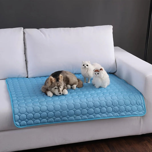 Durable Sleeping Pet Blanket