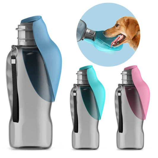 800ml Portable Water Bottle